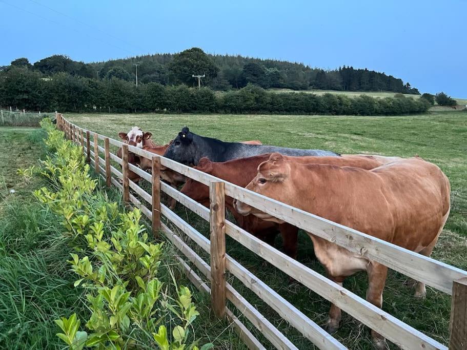 Foxhall Farm Thirsk Eksteriør billede