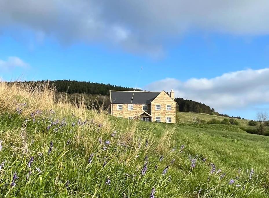 Foxhall Farm Thirsk Eksteriør billede